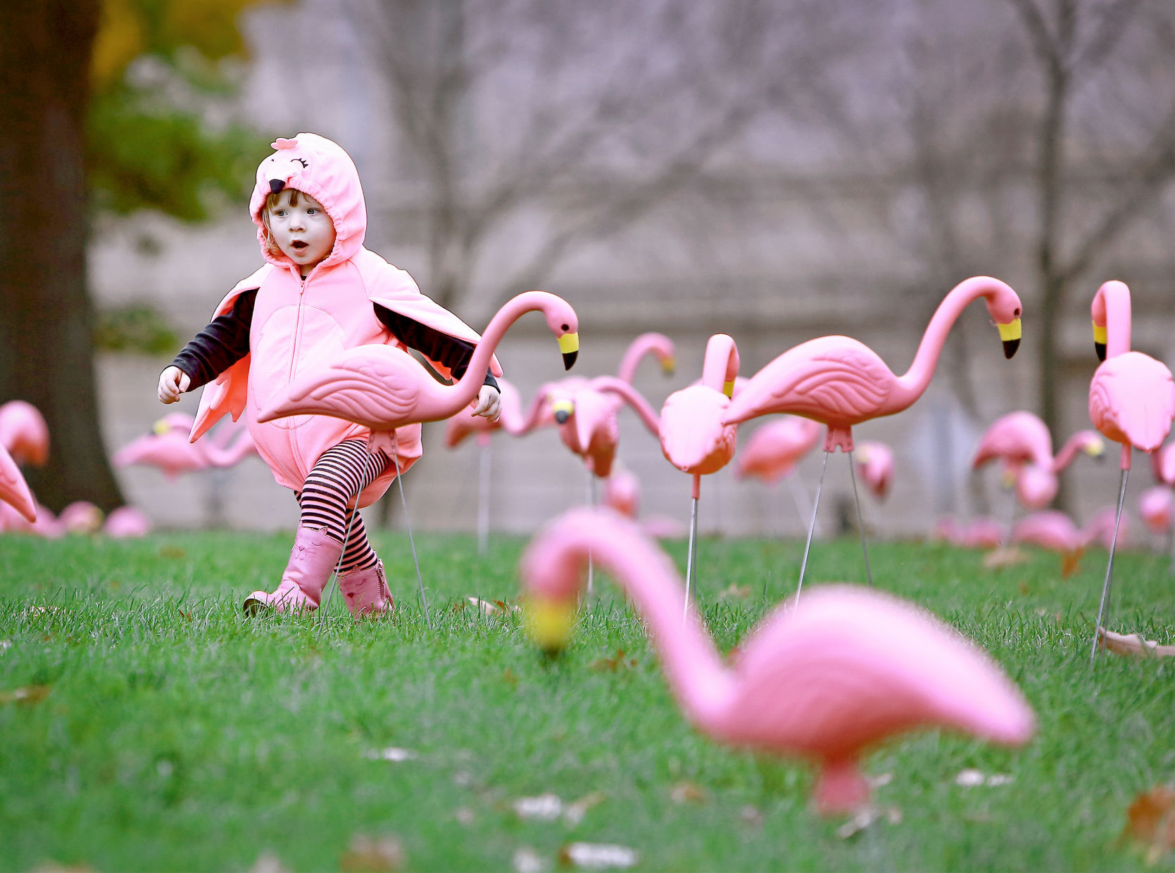 Blending in
